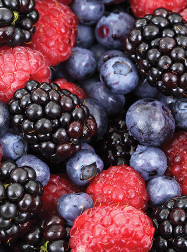 fruits2